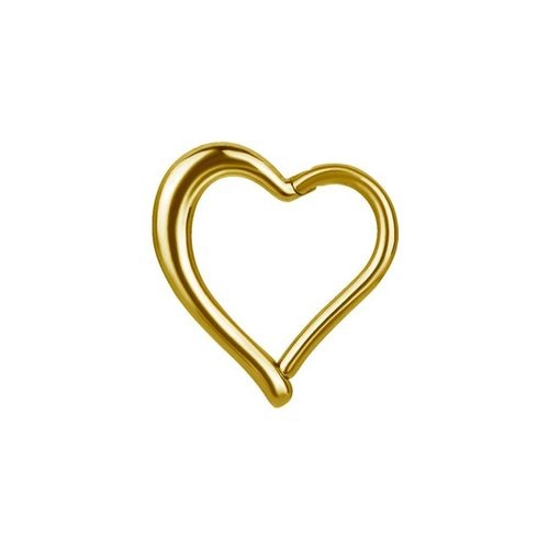 Gold Steel Heart Daith Ring