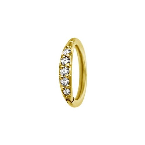 Gold Steel Hinged Ring - Premium Zirconia