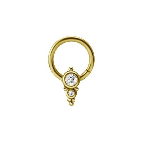 Gold Steel Septum Ring - Double Crystal
