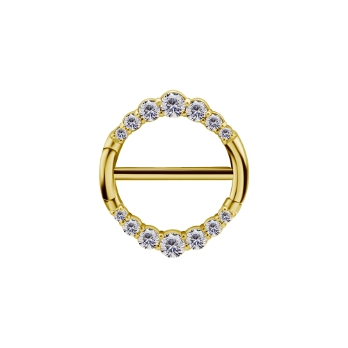 Gold Steel Nipple Ring - Pointed Premium Zirconia