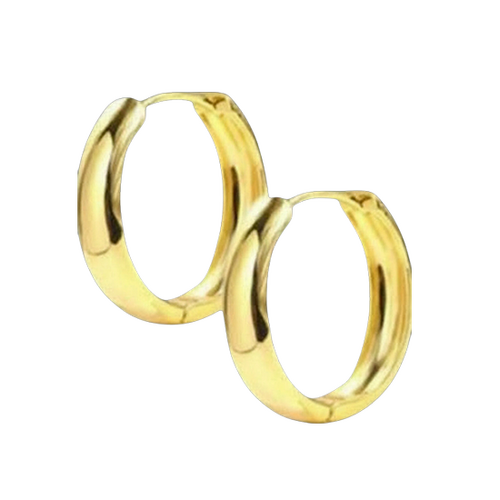 Gold Titanium Hoop Earrings
