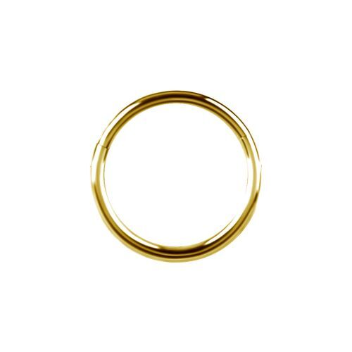 Gold Titanium Hinged Ring