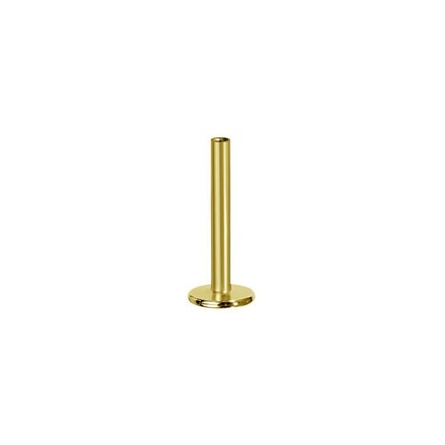 Gold Titanium (Type S) Internal Thread Flat Back Labret Post