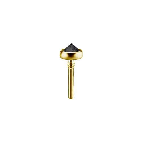 Gold Titanium - Inverted Black Premium Zirconia (Type-R) Internal Thread Labret Attachment