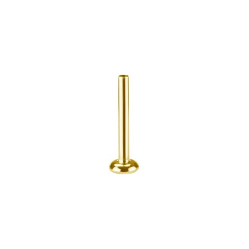 Gold Titanium (Type R) Internal Thread Flat Back Labret Post Sterilised