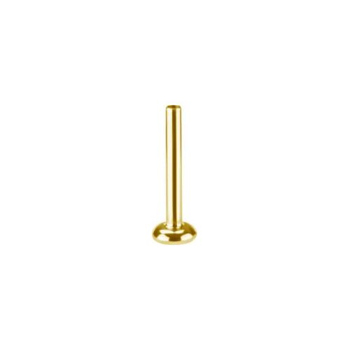 Gold Titanium (Type R) Internal Thread Flat Back Labret Post