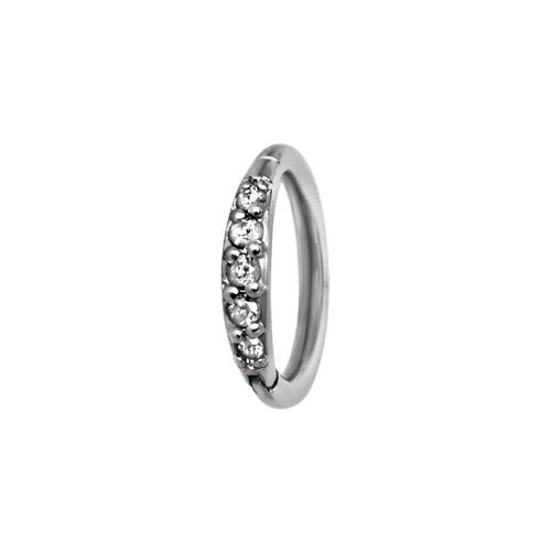 Surgical Steel Hinged Ring - Premium Zirconia