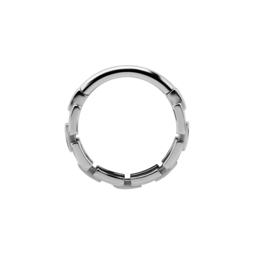 Surgical Steel Hinged Ring - Chain