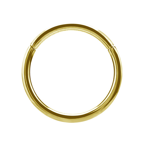 14K Gold Hinged Ring