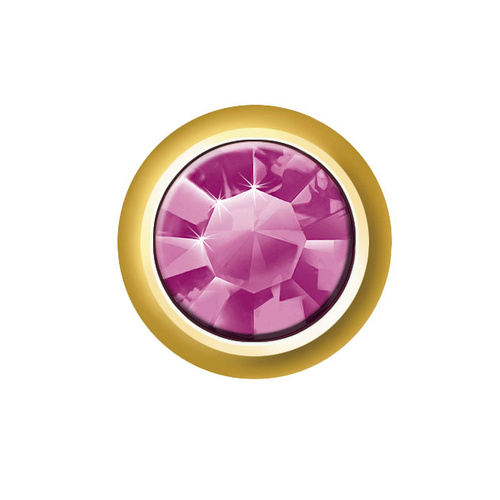 Sterilear Ear Studs Dark Amethyst February Mini Gold