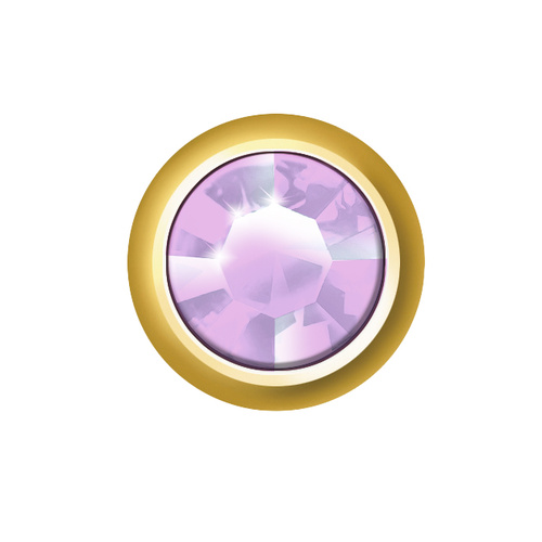 Sterilear Ear Studs Amethyst June Mini Gold 