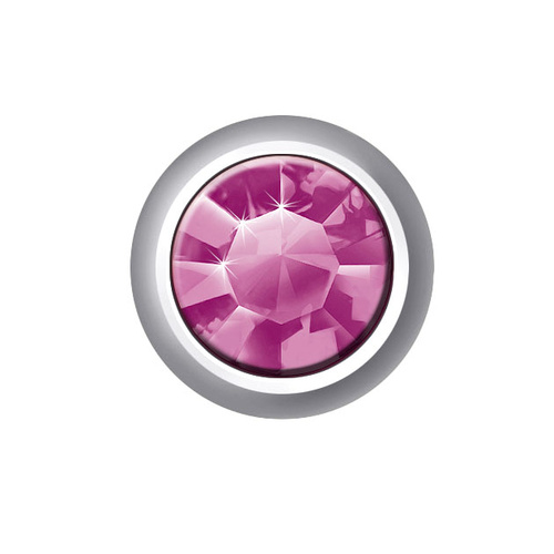 Sterilear Ear Studs Dark Amethyst February Mini Silver 
