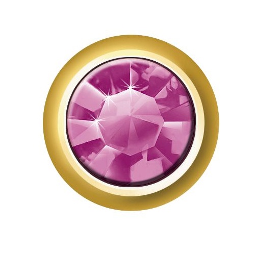 Sterilear Ear Studs Dark Amethyst February Regular Gold 