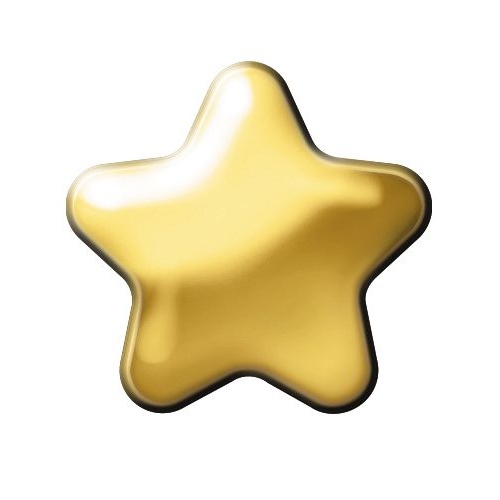 Sterilear Ear Studs Star Shape Regular Gold 