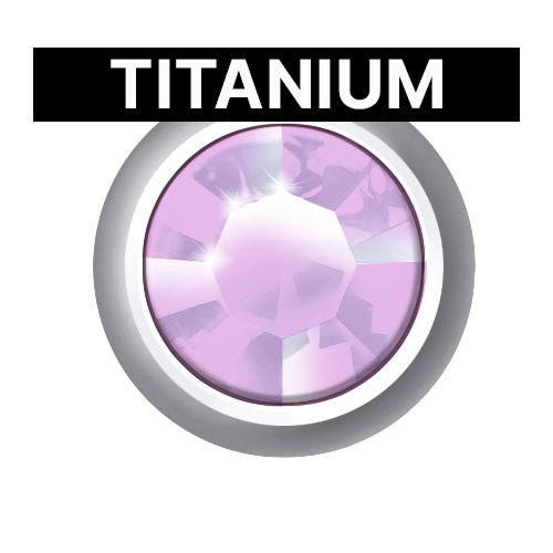 Sterilear Ear Studs Titanium Amethyst June Regular 