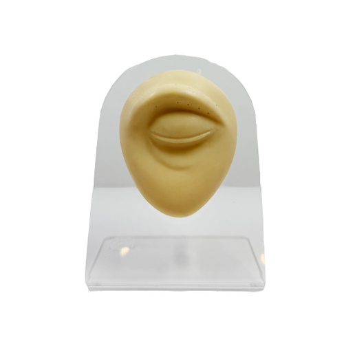Body Part Mould/Display - Eyebrow