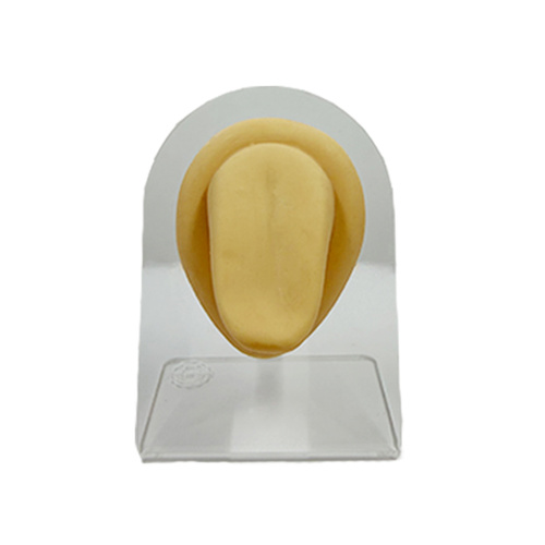 Body Part Mould/Display - Tongue