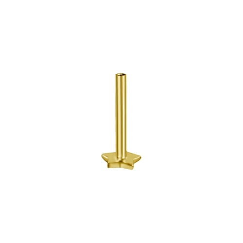 18K Gold Internal Thread Flat Back Star Labret Post