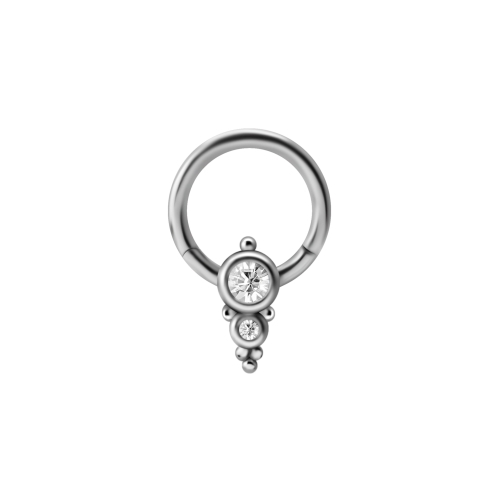 Surgical Steel Hinged Ring - Double Crystal