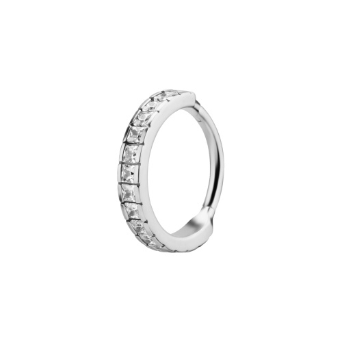 Nickel Free Cobalt Chrome Hinged Ring - Premium Zirconia