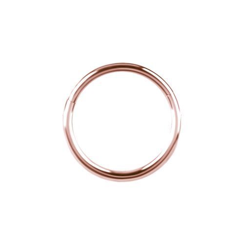 Rose Gold Titanium Hinged Ring