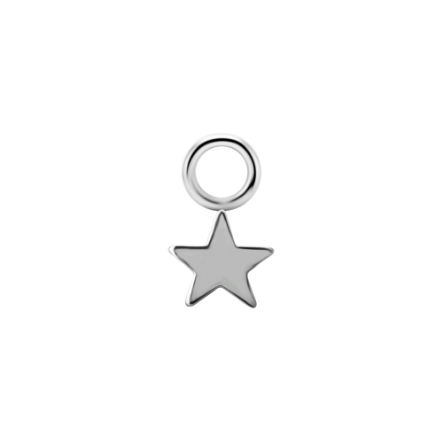 Titanium Star Charm