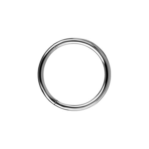 Titanium Hinged Ring